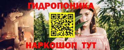 хмурый Бийск