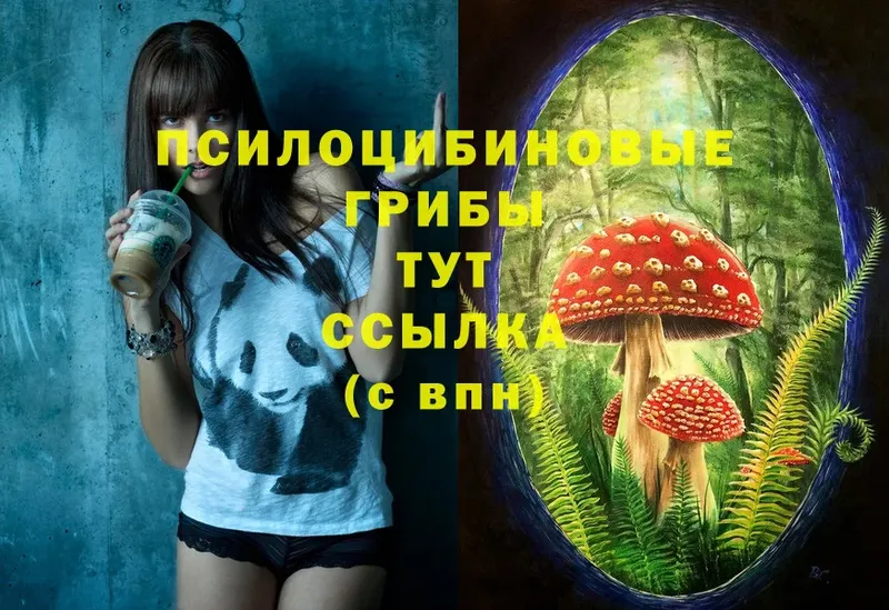 как найти наркотики  Саратов  mega зеркало  Галлюциногенные грибы MAGIC MUSHROOMS 