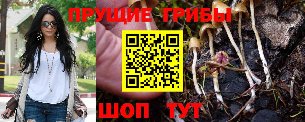 Галлюциногенные грибы Magic Shrooms Саратов