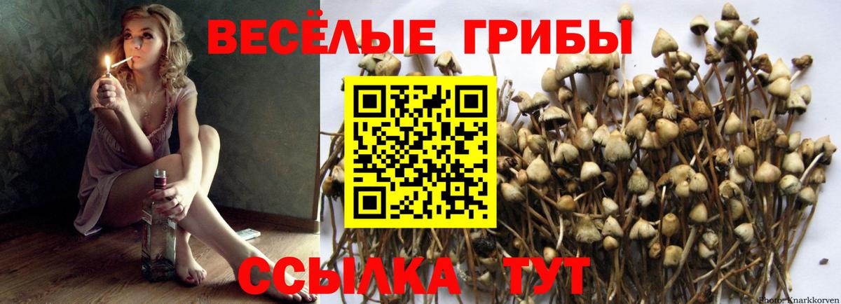 Галлюциногенные грибы Magic Shrooms  Вход с VPN  купить наркотик  Псилоцибиновые грибы ЛСД  Саратов 