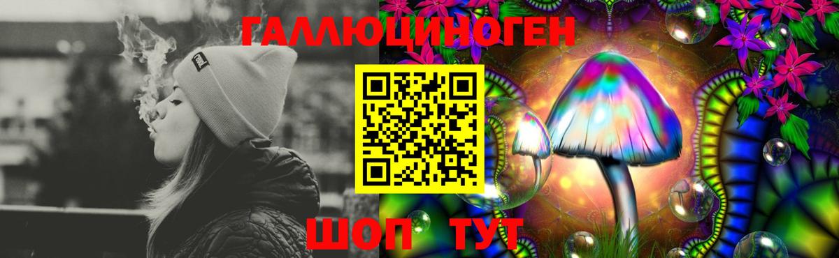 Псилоцибиновые грибы GOLDEN TEACHER Саратов